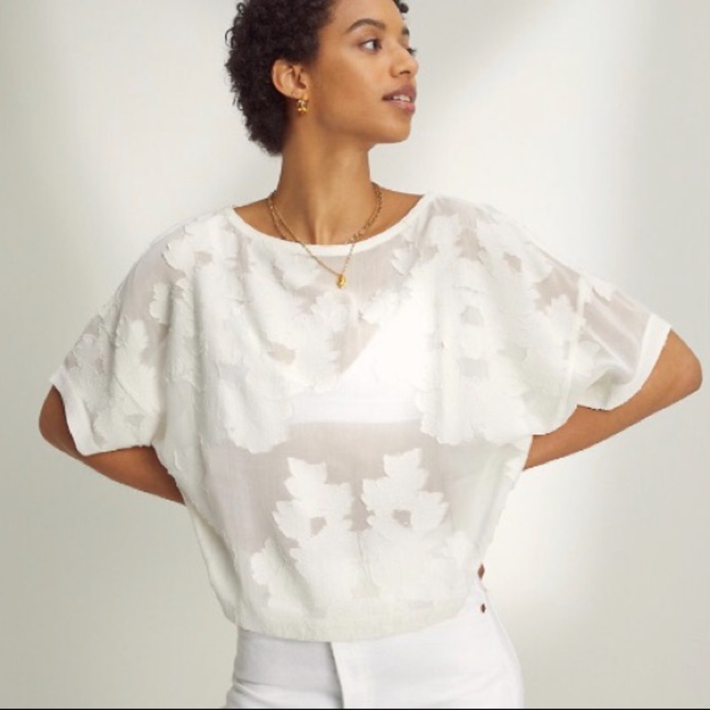Aritzia Wilfred Blayze T-Shirt